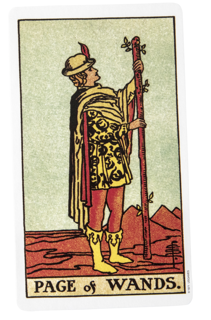 Page of Wands Tarot Card Meaning BLYSEE